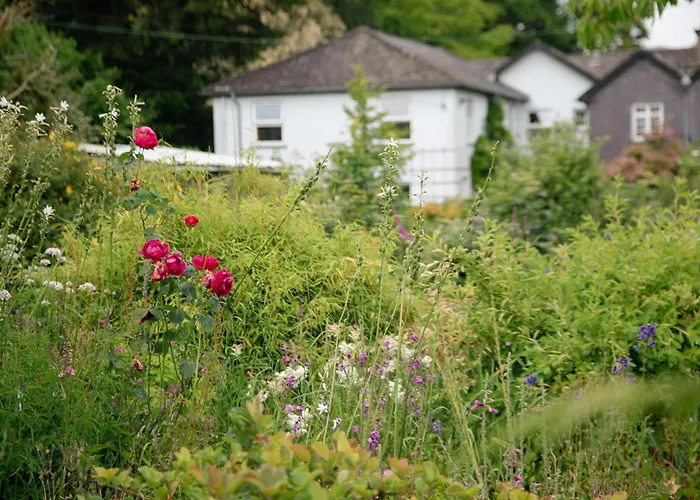 Trigonos - Peaceful Lakeside B&B And Retreat In Eryri National Park